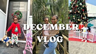 The Last Vlog for the year 2023/ Living In Lagos/ Beach date/Lekki Conservation/ December Vlog