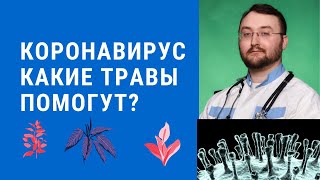 Коронавирус. Инфекция набирает обороты. Какие травы помогут?