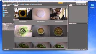 Adobe Bridge Tutorial