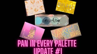 Pan In Every Palette- Update #1- #panning #mamamakeupcorner #makeup #projectpan #panineverypalette