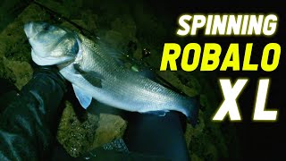 PESCA DE ROBALOS AO SPINNING - 3KG | Pesca Portugal | Seabass fishing | 4K POV