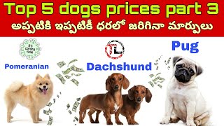 Top 5 Dogs Prices In India | part 3 | Telugu | Taju logics