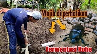 BAHAYA!!!!  banyak ditemukan hama ini @fermentasi kohe #fermentasi #kohekambing