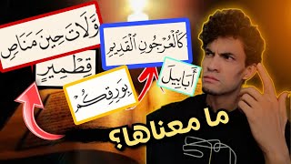 كلمات في القرآن لا يفهم معناها أغلب الناس.#1