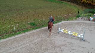 DJI Spark active tracking a horse