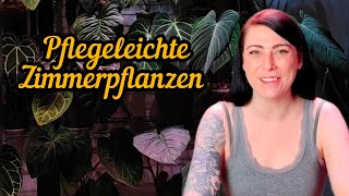 Zimmerpflanzen für Anfänger | pflegeleichte Calathea Alocasia Monstera und Co.