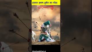 ## Hazrat imam husain ke ghode ka name zulzinah tha ## IYI islamic world