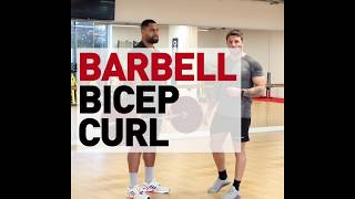 JC Barbell Bicep Curl