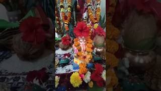 Mahalaxmi Devi: Blessings of Wealth and Abundance