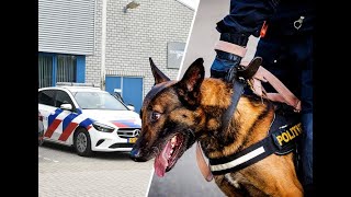 Dutch Policedogs K9  as a weapon, Dutch policedogs and their handlers