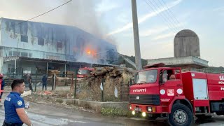 Geyve'de kereste fabrikası alev alev yandı, dumandan 3 itfaiyeci etkilendi