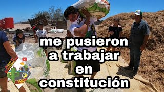 me pusieron a trabajar en constitución.