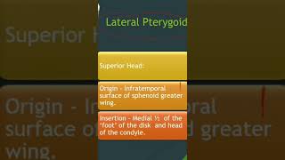 INBDE - Anatomy - What is the origin and insertion of LATERAL Pterygoid muscle?