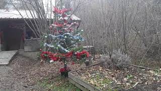 Buon Natale dal bosco 🎄