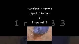 дуэль в чг