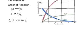 Order of Reaction Explained