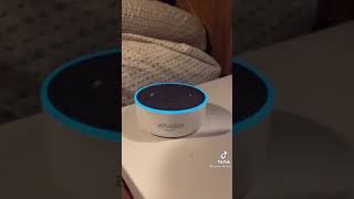 Alexa farts