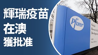 【新聞亮點】澳洲及全球疫情；輝瑞疫苗在澳獲批准；熱浪席捲澳洲 多地發禁火令；數字疫苗證書有望讓國際學生返回澳洲