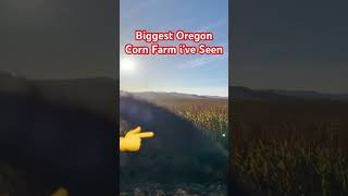 BIGGEST OREGON CORN FARM I’ve Seen