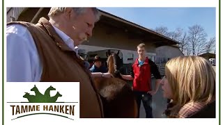 Pferd macht keine gute Figur: Tamme legt bei Pferd & Reiterin Hand an | Tamme Hanken | Kabel Eins