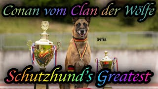 Schutzhunds Greatest Dogs *Conan vom Clan der Wölfe*