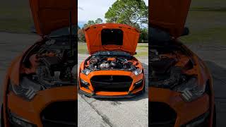 2020 GT500 TVS Supercharger singing! #vmpperformance