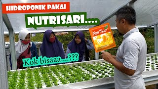 Hidroponik pakai Nutrisari.... Kok bisaaa....??? Ternyata ini yang terjadi #hidroponik #hidroganik