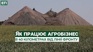 Агробізнес за 40 кілометрів від лінії фронту: уроки виживання від фермера під Авдіївкою