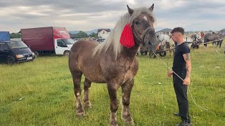 Targ de cai Sighetu-Marmatiei, Maramures#2023