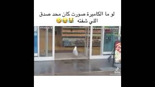 طير يسرق من سوبرماركت😂😃🙉