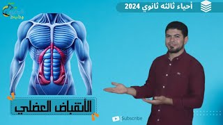 الانقباض العضلي ٢٠٢٤