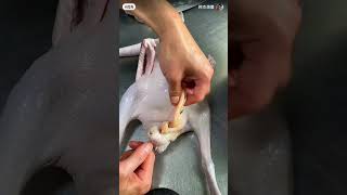 Chef for grilled chicken #chicken  #shortvideo