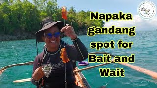 Ang daming lapu-lapu sa spot na ito | PANGUBATAN SAMAL ,..bait and wait