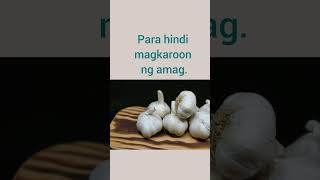 Alam nyo ba ang tunay na kulay ng bawang ay hindi puti kundi redddish.