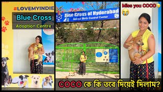 Did we give COCO to Adoption❓ Miss you COCO! 😓 I got Emotional | Blue Cross of Hyderabad