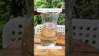 Day 4- Detox Water for Fatloss & digestion #detoxwater #fatlosssecrets #shortsviral #summerdrink