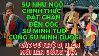 DIỄN BIẾN NÓNG-CÁC SƯ NHỎ BỊ LLCN MỜI LÊN UỐNG TRÀ-SƯ NHƯ NGỘ ĐÃ TỚI CỐC SƯ MINH TUỆ