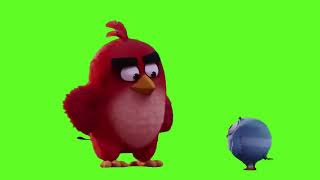 Птицы из игры Angry Birds на хромакей 🎮🐦