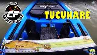 PESCANDO TUCUNARÉ