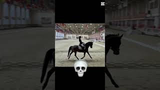 Trot improvement 🤩😫🤩 #equestrian #edit #equestrianvibes #horse #horsey