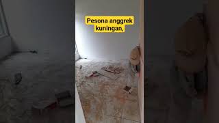 perumhan terbaru ,pesonan anggrek kuningan jawa barat #viralvideo #viralshort #vidioshortsyoutube