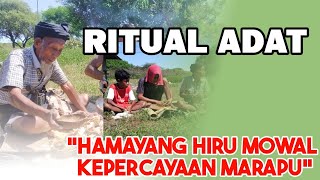 Ritual/Hamayang Hiru Mowal Kepercayaan Lokal (Marapu) di Sumba Timur #ritual #kepercayaan #marapu