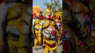 Pulikali - Tiger Dance - 9884436365