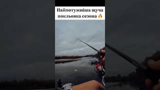 Такого ніхто неочікував 😱 #рибалка #снасті #щука #клювання #риболовля #fishing #риба