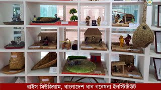 রাইস মিউজিয়াম - বাংলাদেশ ধান গবেষণা ইনস্টিটিউট