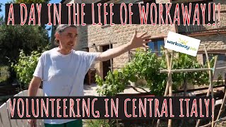 Workaway - Volunteering in central Italy