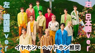 【新感覚】 左右で言語が違う？！SEVENTEEN/ｾﾌﾞﾝﾃｨｰﾝ/세븐틴