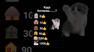 Куда.........им?😭😢 #shorts #chickengun￼￼￼￼