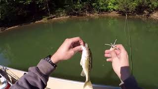 Fly fishing Mountain Island Lake during Covid-19