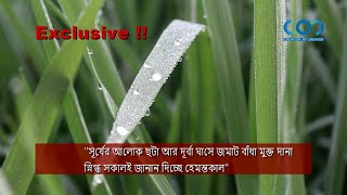 বাংলার হেমন্তকাল || HEMONTOKAL || Beautiful Winter in Bangladesh || shitkaler sokal